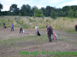 Hundetræning efterår 2015